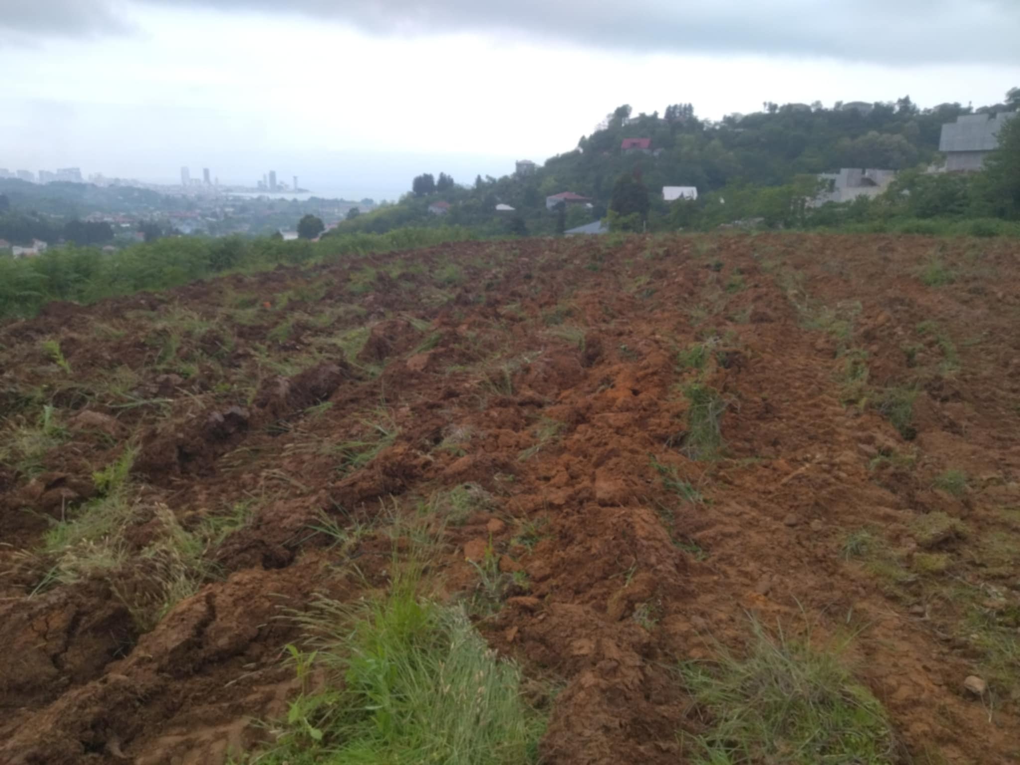 Батуми за городам Село Капрешуми срочно продаётся земельный участок.