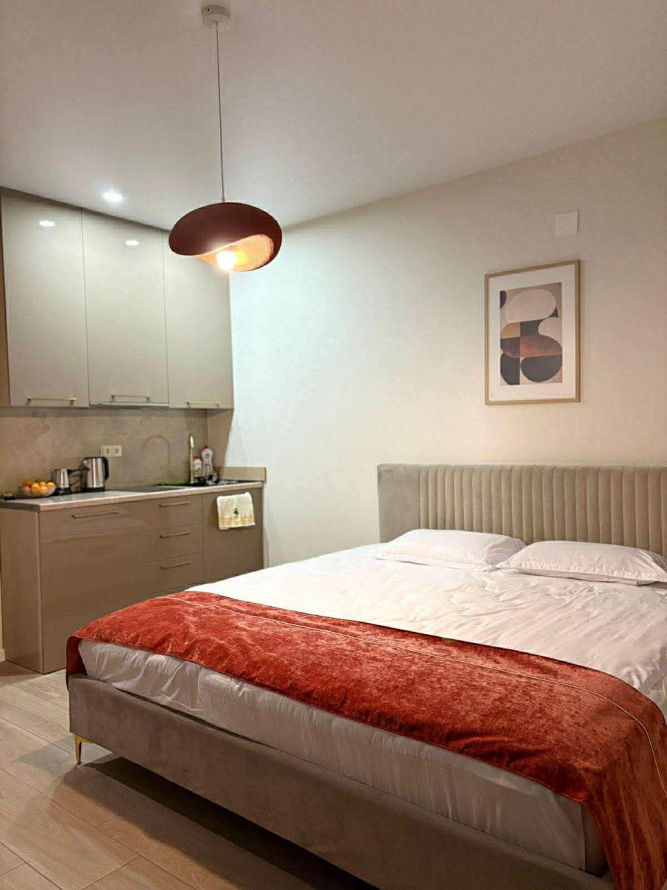 Сдается БОЛЬШАЯ студия с террасой