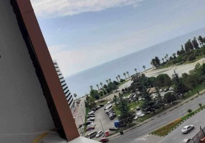 photo_2026-01-31_23-33-45