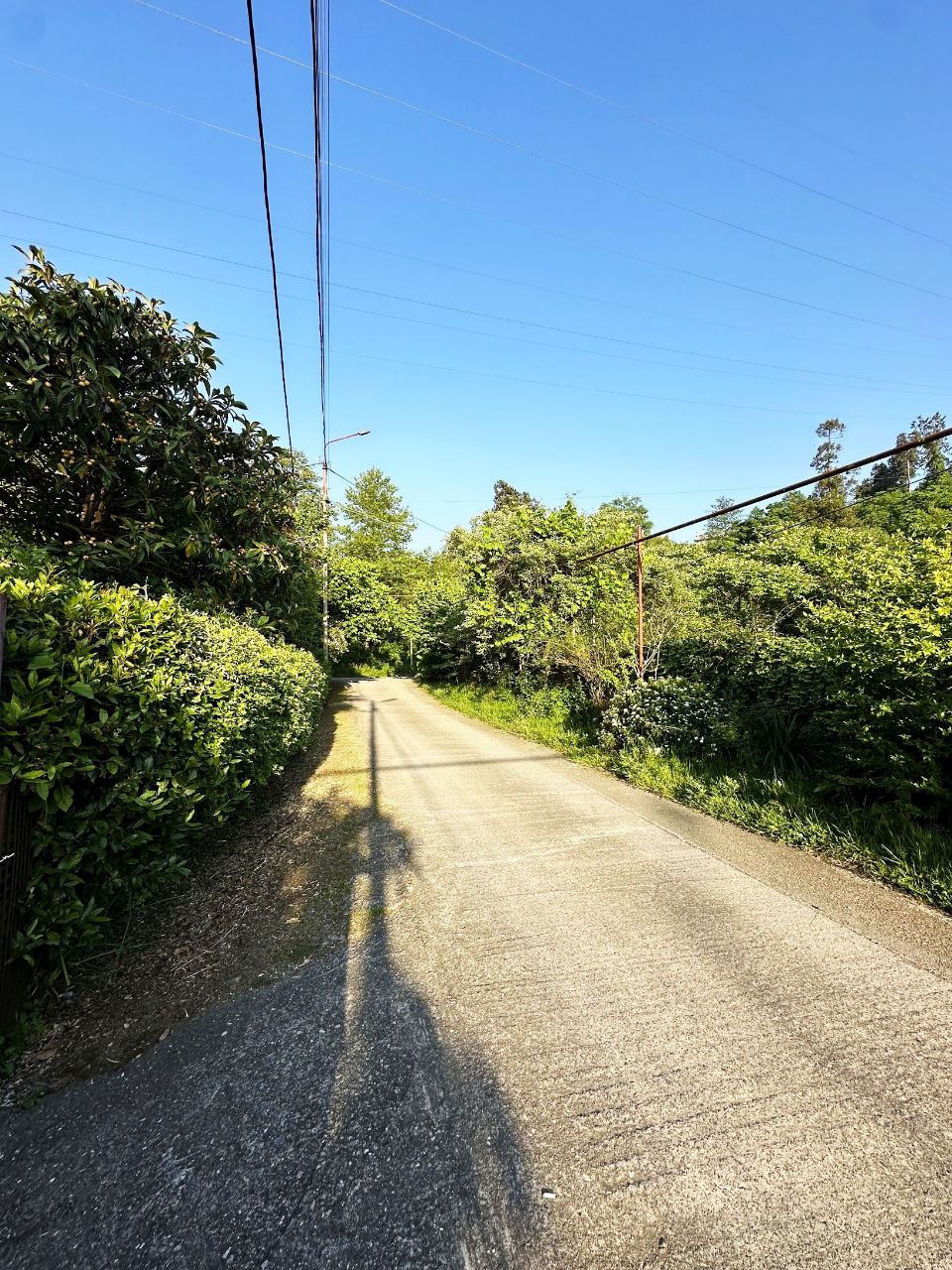 Продаётся дом с участком