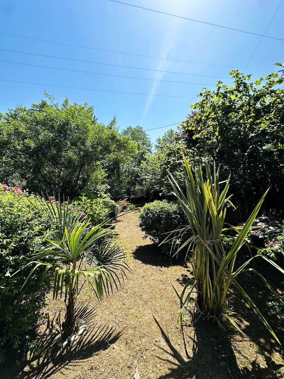 Продаётся дом с участком земли