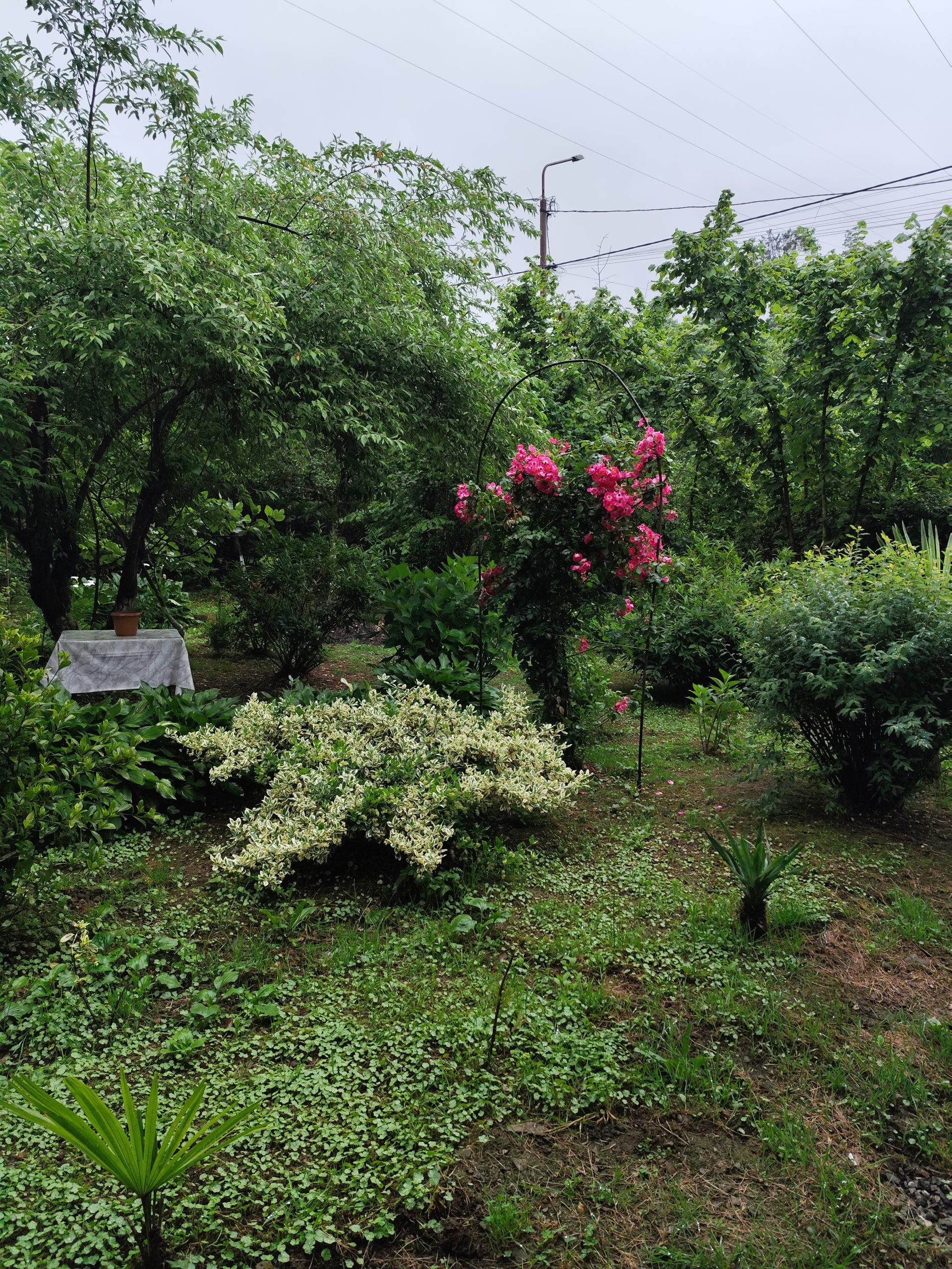 Продаётся дом с участком земли